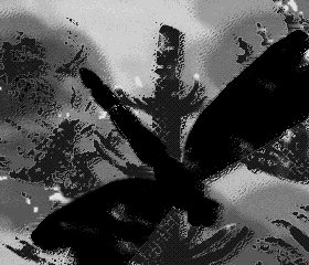 DG4